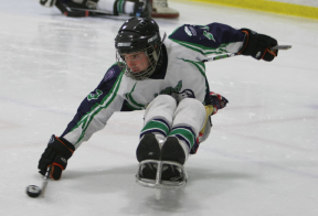 Image of a Sledge Ninja
